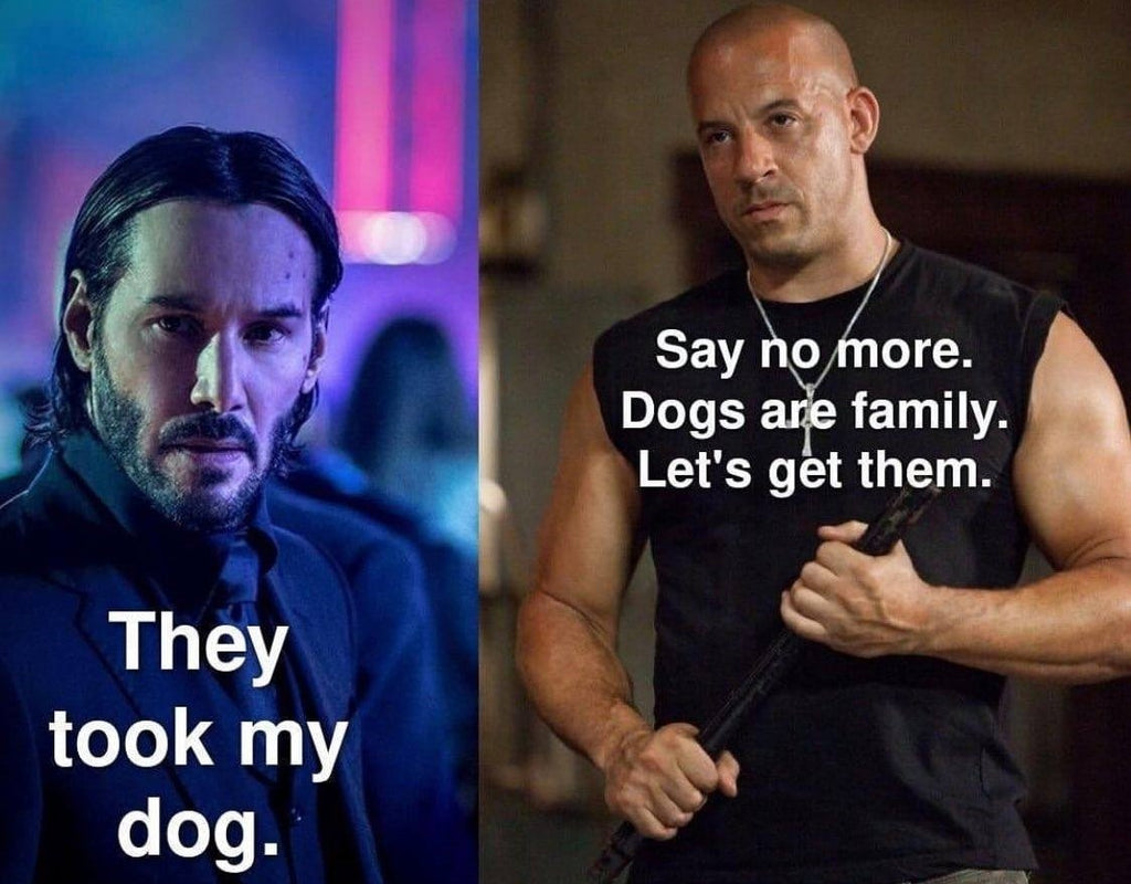 Les memes sur la valeur de la famille de Dominic Toretto envahissent la toile