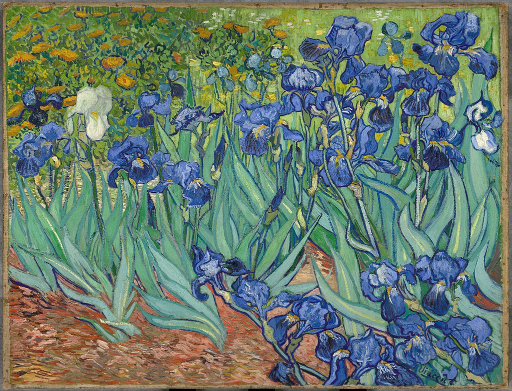 Le musée Van Gogh et le musée d'Orsay retracent les derniers jours de l'artiste à Auvers-sur-Oise