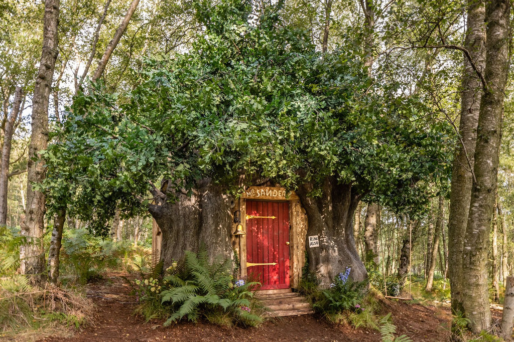 Disney et Airbnb collaborent pour reproduire la maison de Winnie l'Ourson